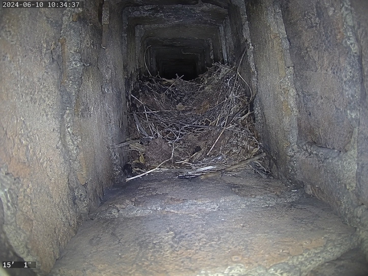 Camera view up a chimney flue showing a nest blocking the passage